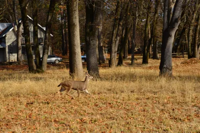 DSC_5848 (Large).JPG